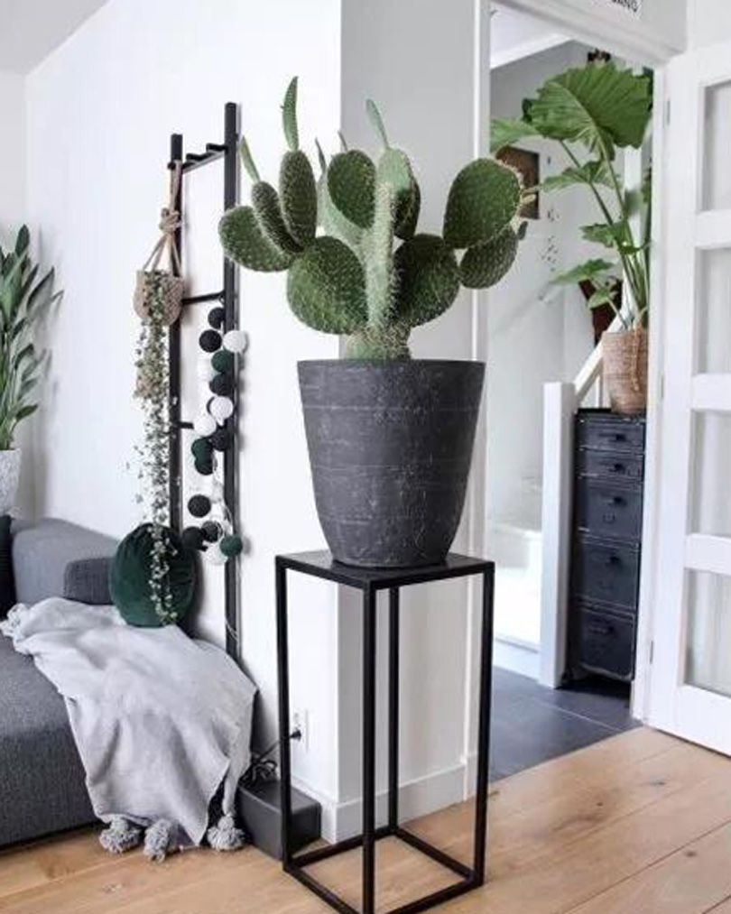 1573102895104382.jpg 10.jpg