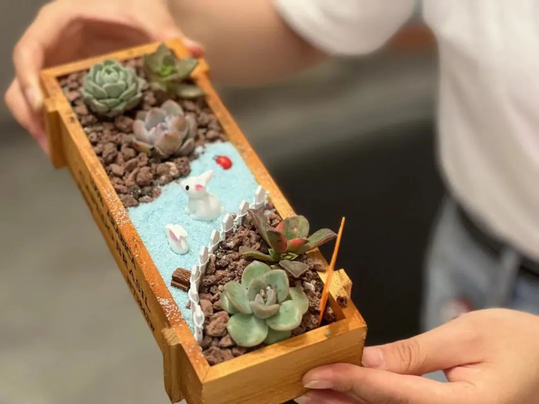 1715564544125639.jpg 微信圖片_20240513094043.jpg